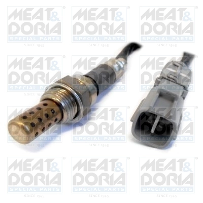 Oxygen Sensor